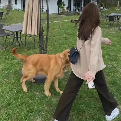 狸猫书生