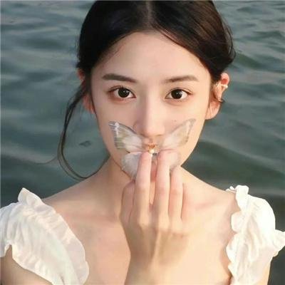 春燕展翅